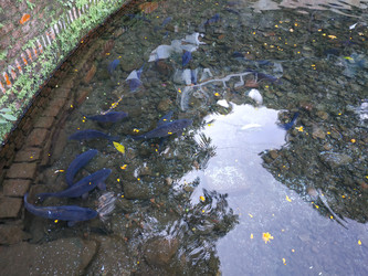 Similar image 22608598