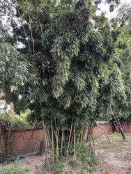 Similar image 22608600