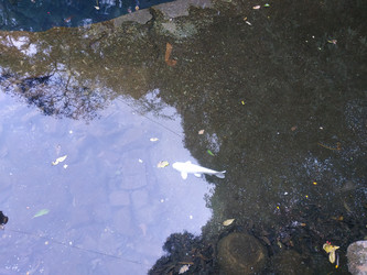 Similar image 22608601