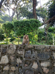 Similar image 22608494