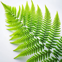 Similar image 22612995