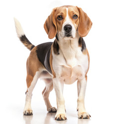 Similar image 22612410