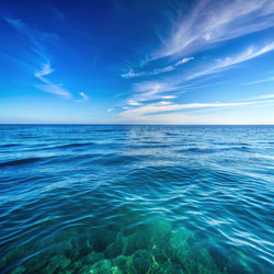 Similar image 22612515