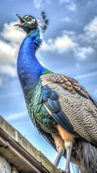 Similar image 22612695