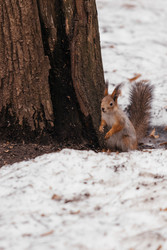 Similar image 22632320