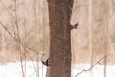 Similar image 22632321