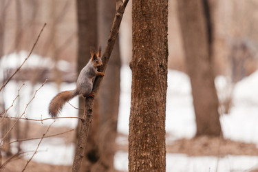 Similar image 22632322