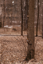 Similar image 22632323