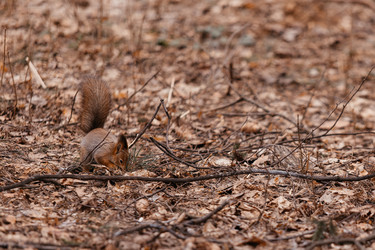 Similar image 22632324