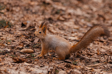 Similar image 22632325