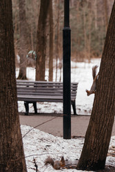 Similar image 22632326