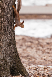 Similar image 22632327