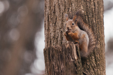 Similar image 22632328