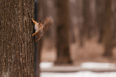 Similar image 22632329