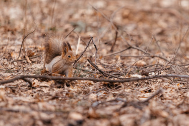 Similar image 22632330