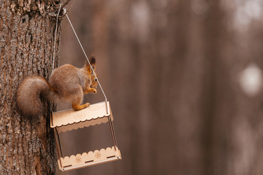 Similar image 22632331