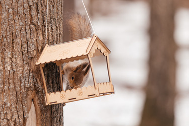 Similar image 22632332