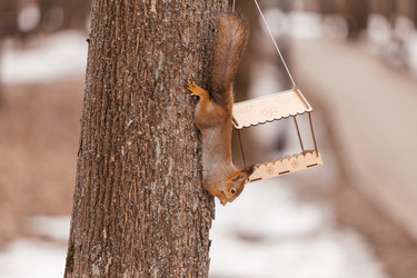 Similar image 22632333