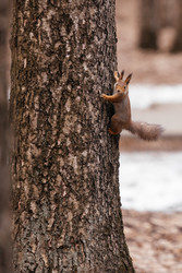 Similar image 22632341