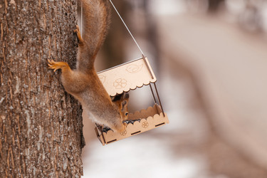 Similar image 22632342