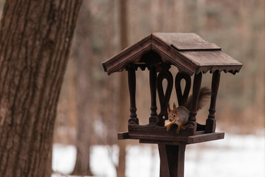 Similar image 22632343