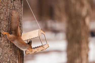 Similar image 22632344