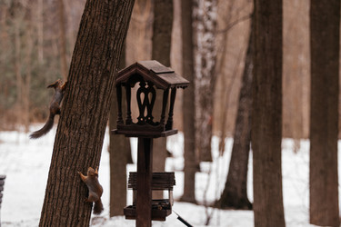 Similar image 22632345