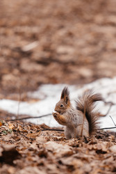 Similar image 22632346