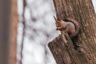 Similar image 22632347