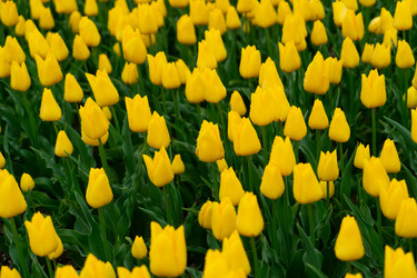 Similar image 22622586