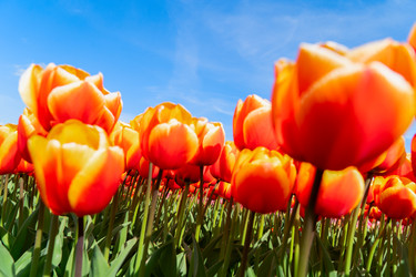 Similar image 22622587