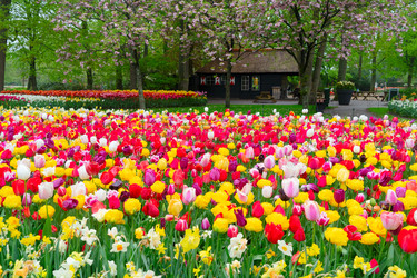 Similar image 22622588