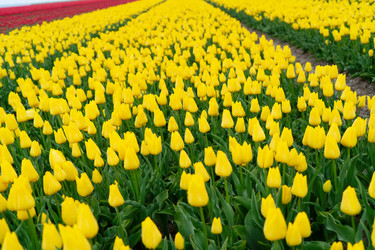 Similar image 22622589