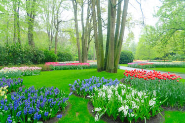 Similar image 22622590