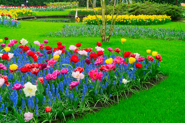 Similar image 22622601