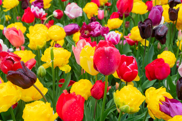 Similar image 22622602