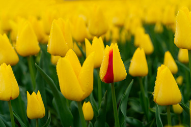 Similar image 22622604