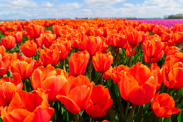 Similar image 22622605