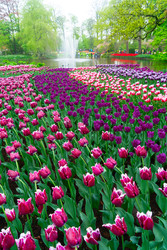 Similar image 22622615