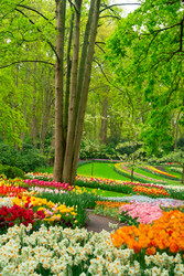 Similar image 22622616