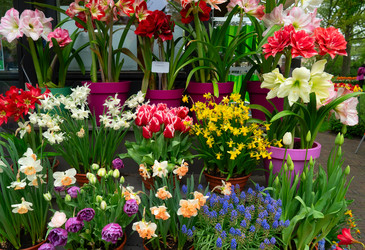 Similar image 22622618