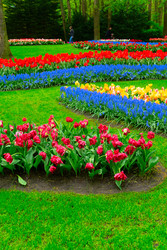 Similar image 22622619