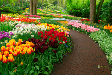 Similar image 22622630