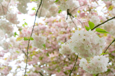 Similar image 22622631