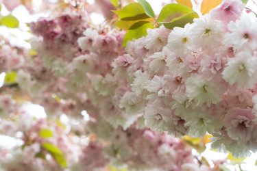 Similar image 22622632