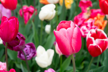 Similar image 22622633