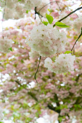 Similar image 22622634