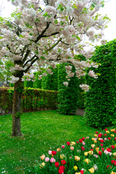 Similar image 22622645