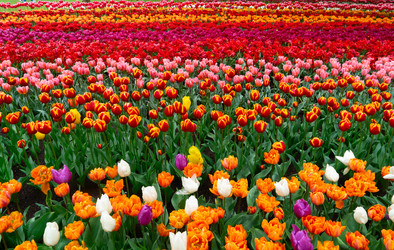 Similar image 22622646