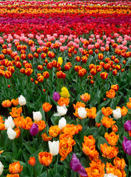 Similar image 22622649